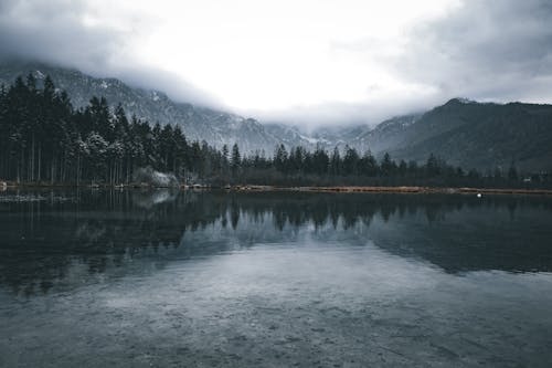 Placid Lake Reflecting Snowcapped Mountains and Forest