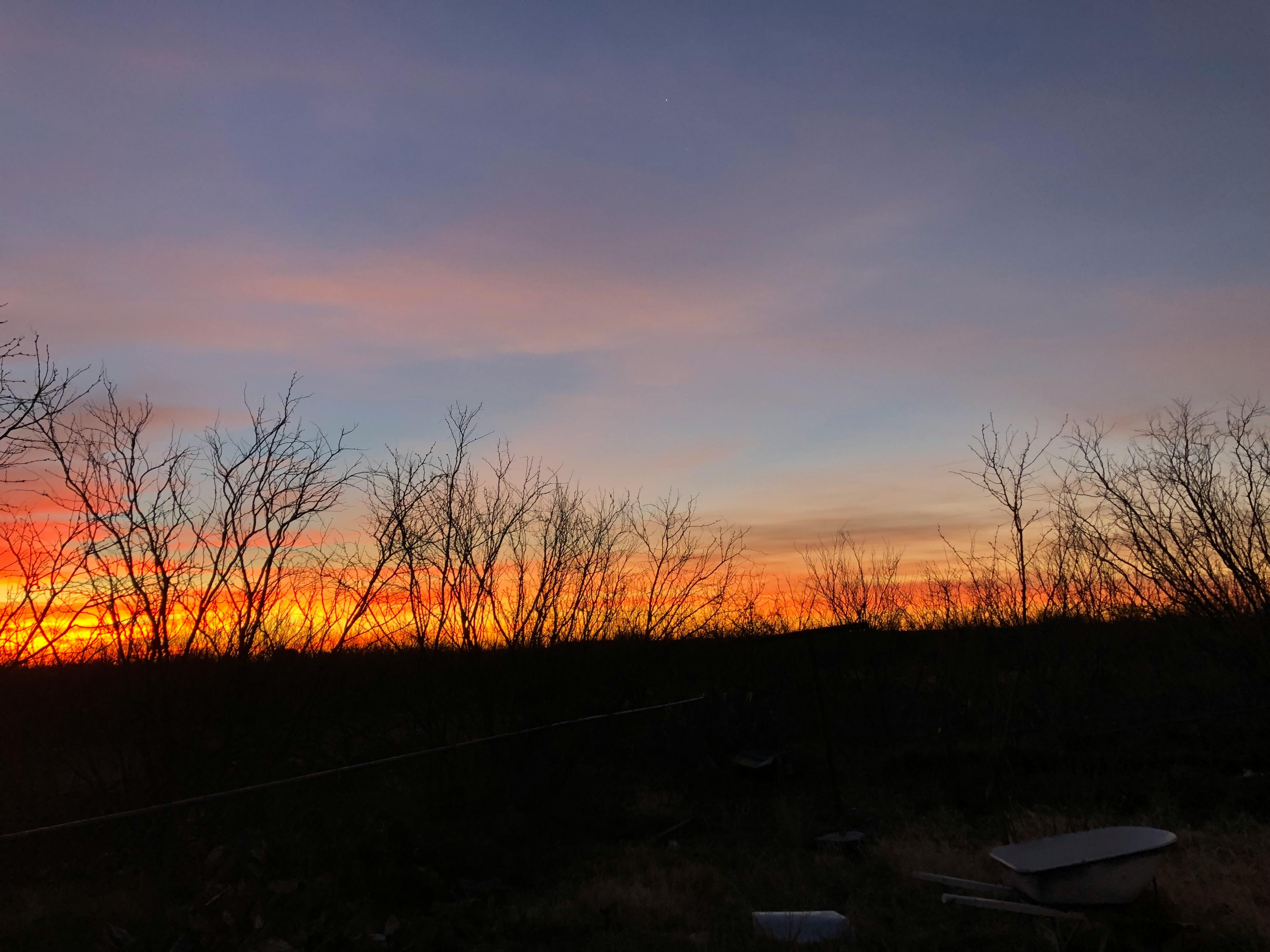 رحلة إلى جبال الألب