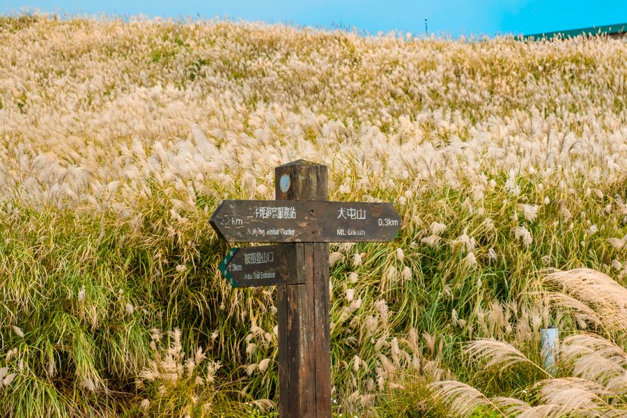Explore a scenic rural landscape with a wooden signpost surrounded by tall grasses under clear blue skies.
