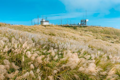 Fotobanka s bezplatnými fotkami na tému dedinský, farma, hracie pole