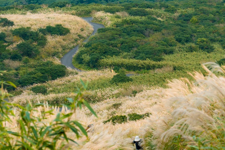 Winding Road In A Rural Landscape 