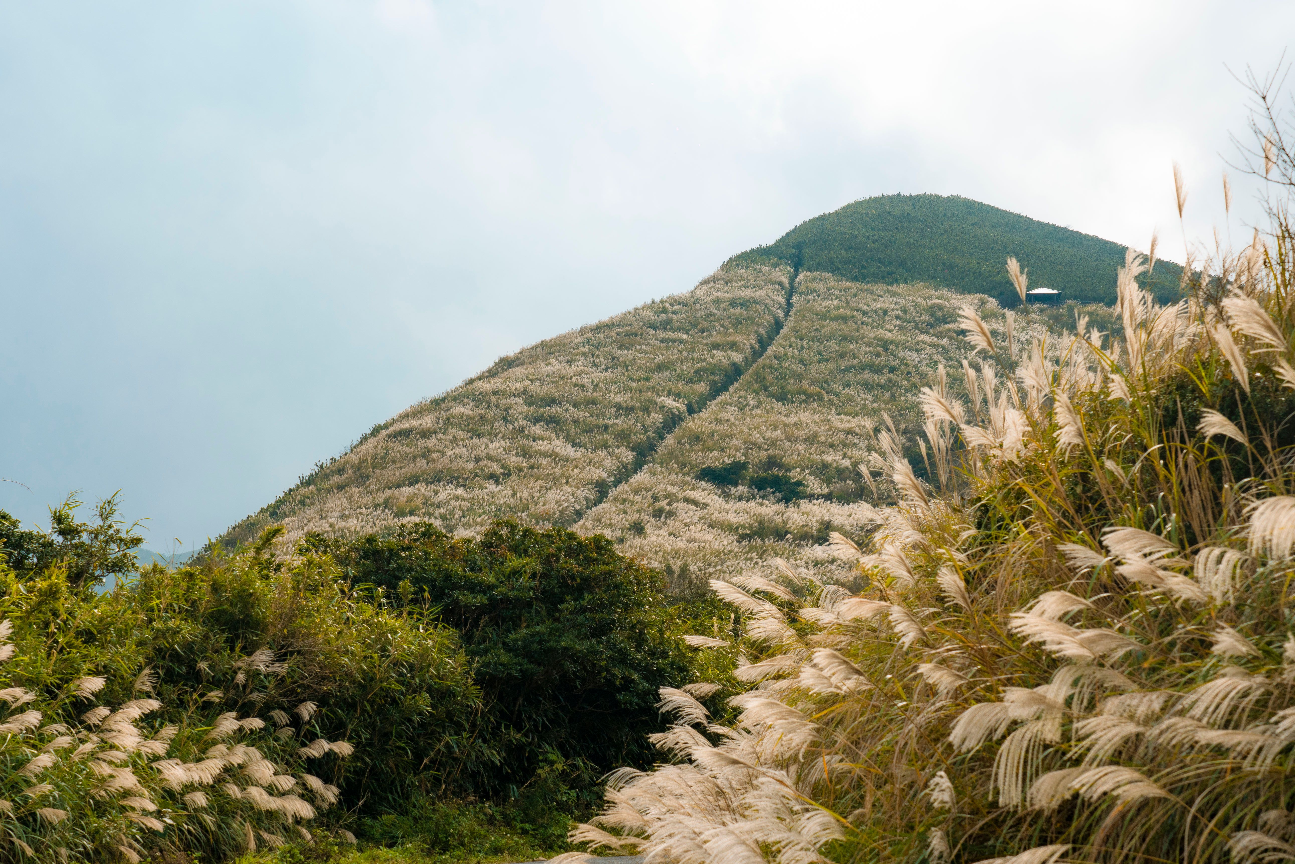 광교산 등산코스