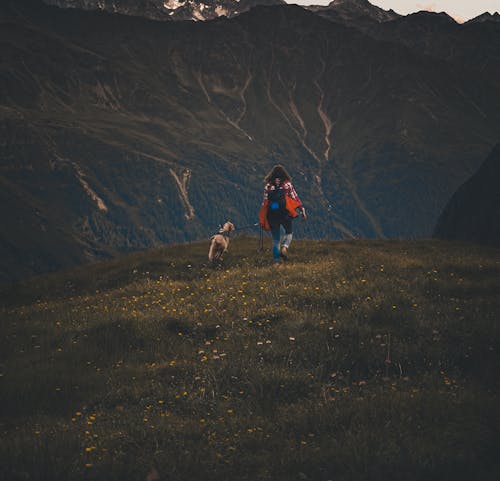 Hiker with a Dog in the Mountains