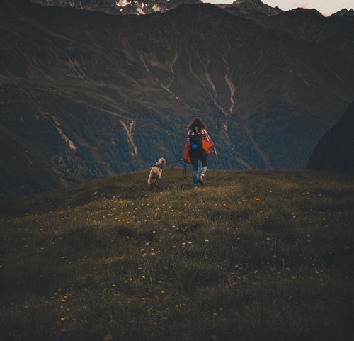 Free Person hiking with dog in beautiful mountainous terrain. Perfect for adventure and travel themes. Stock Photo