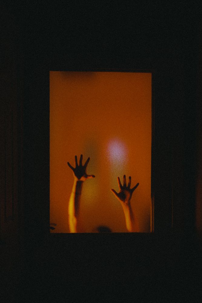 Trapped Photos, Download The BEST Free Trapped Stock Photos & HD Images