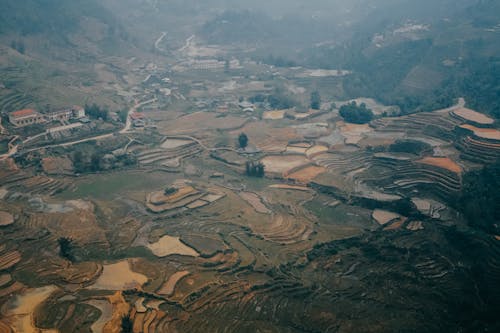 Fields in Countryside