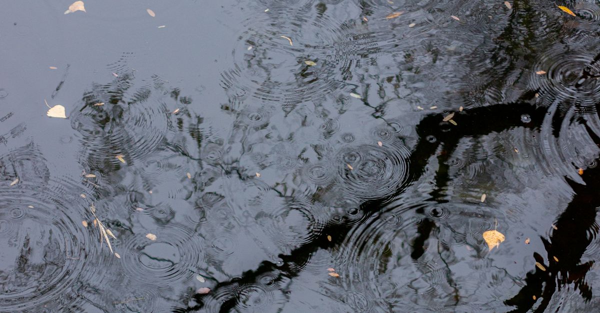 Rain Drops in Puddle · Free Stock Photo