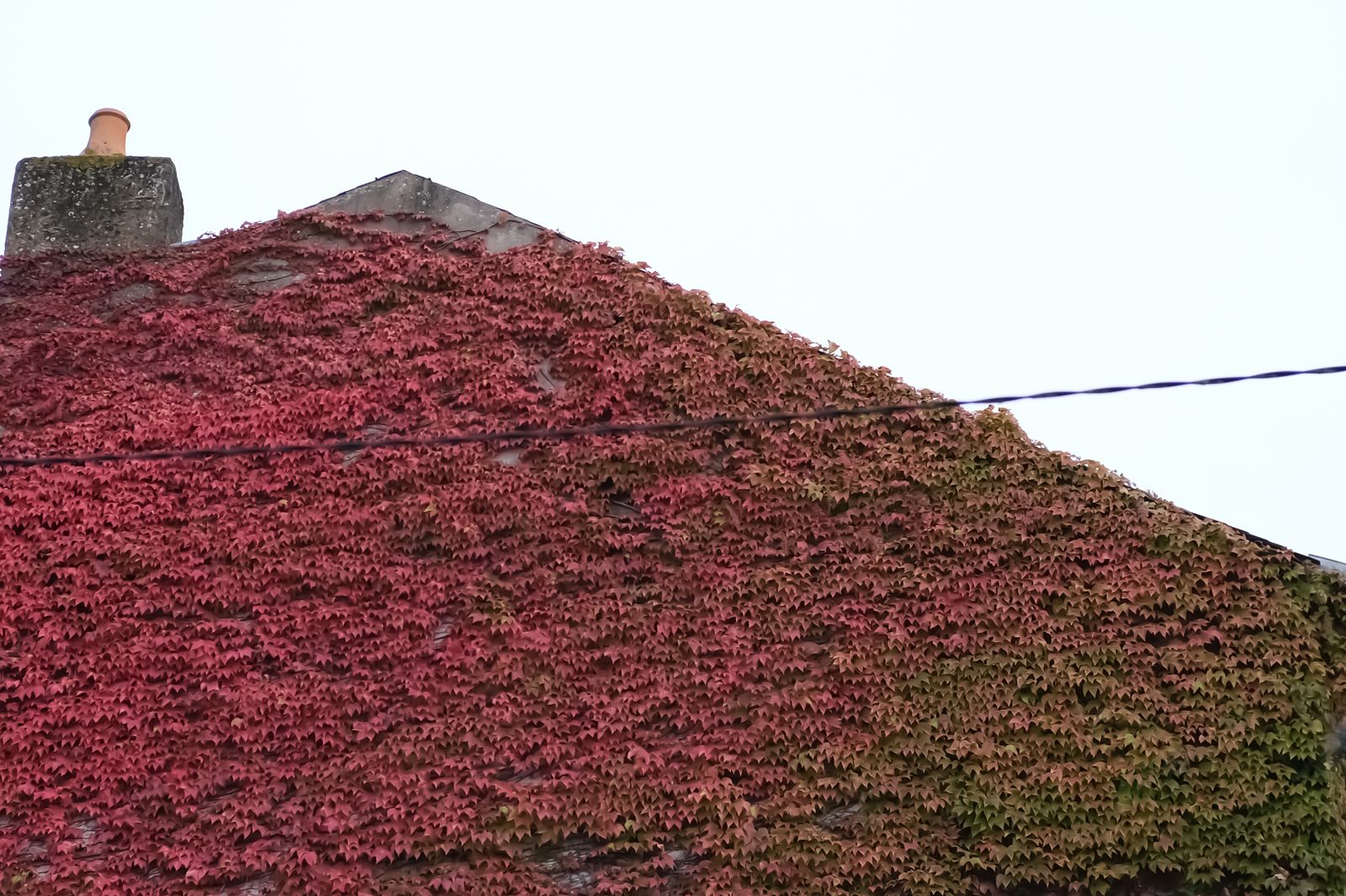 Mur de couleurs