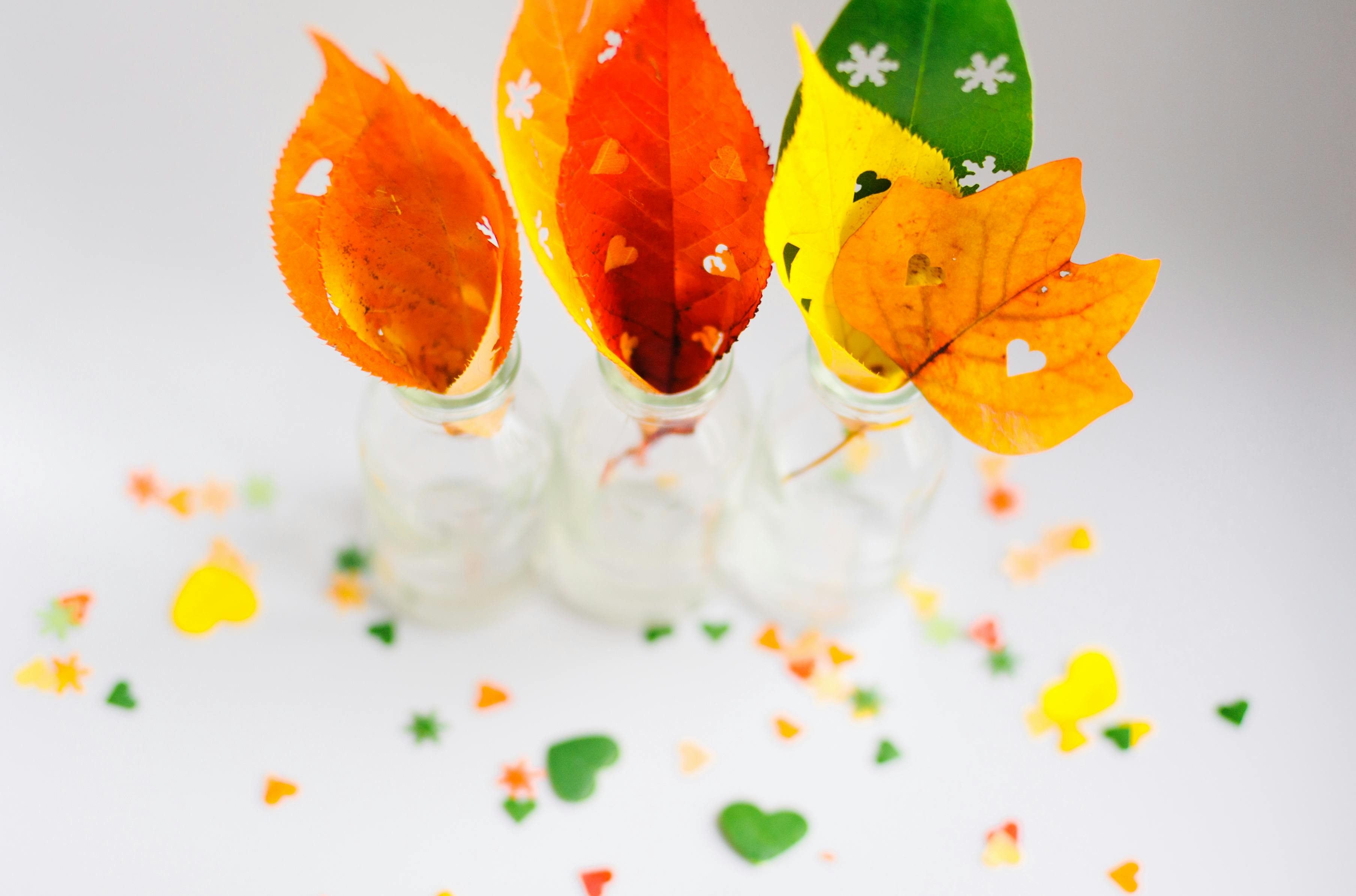 7 Best Hobby Lobby Fall Craft Finds Flying Off Shelves Right Now — Photo by Lara Farber on Pexels