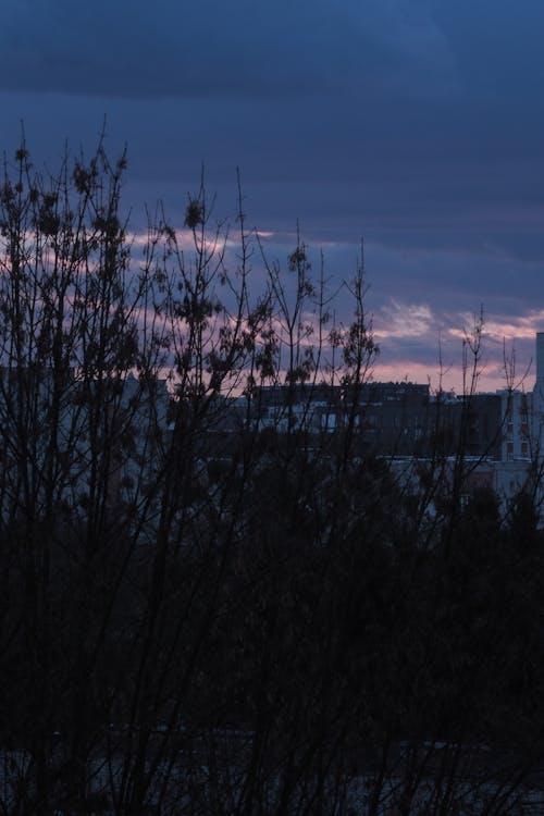 Darmowe zdjęcie z galerii z apartamentowiec, fioletowy, niebo