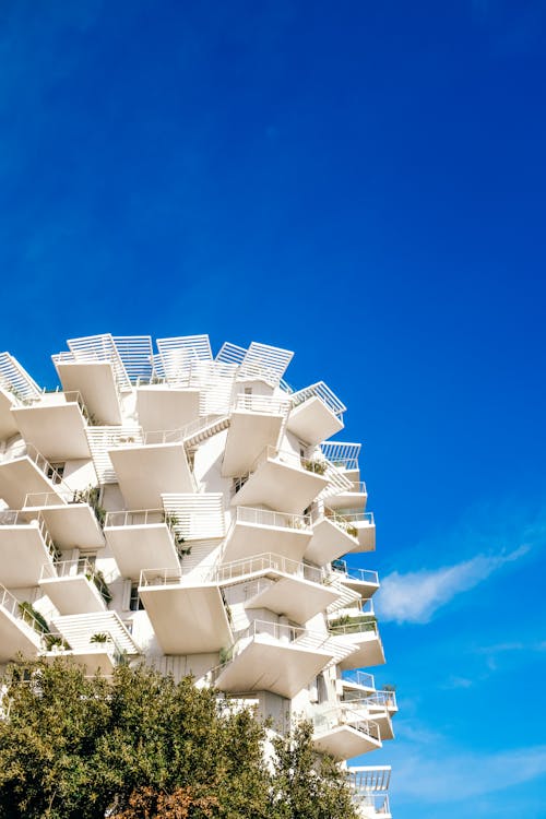L Arbre Blanc Building in Montpellier in France