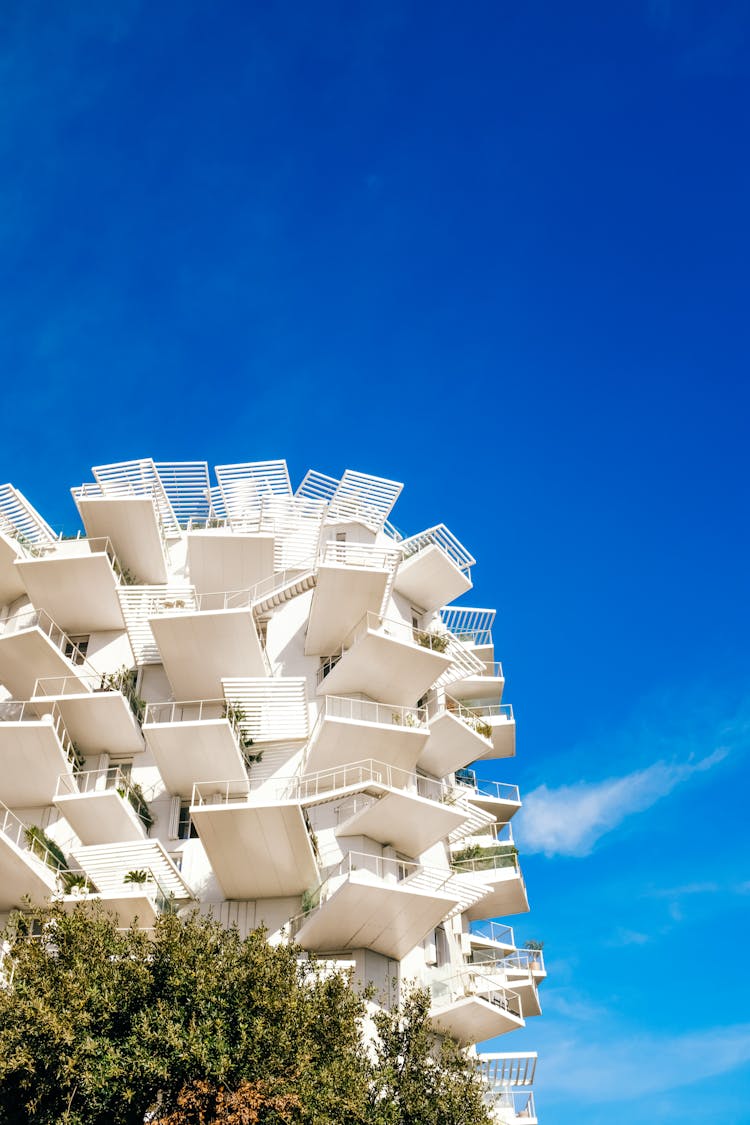 L Arbre Blanc Building In Montpellier In France