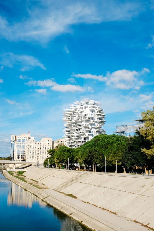 Foto d'estoc gratuïta de arbre blanc, arbres, arquitectura moderna