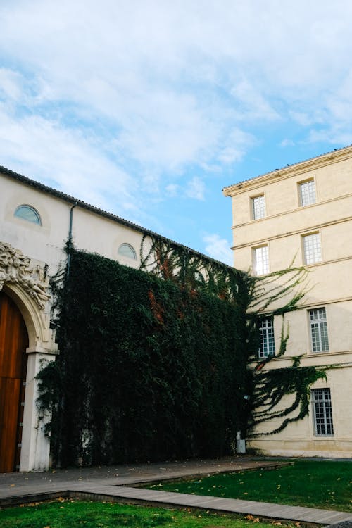 Buildings with Ivy and Courtyard