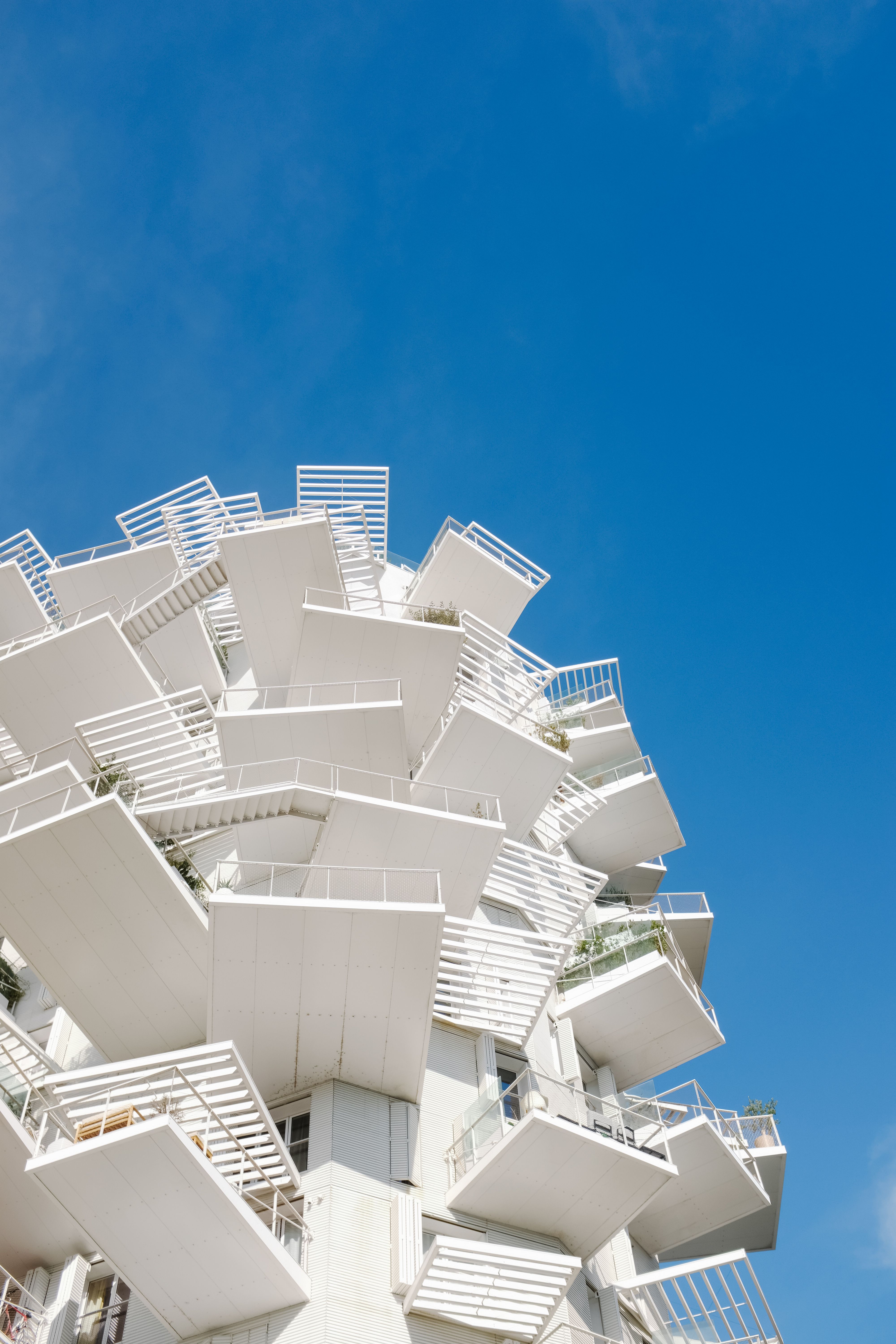 Balconies of L Arbre Blanc in Montpelier · Free Stock Photo