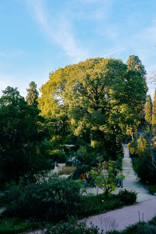 Fotobanka s bezplatnými fotkami na tému alejou, mestský, park