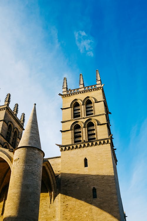 Foto d'estoc gratuïta de arquitectura gòtica, catedral, catòlic