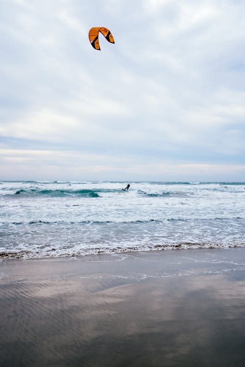 Fotobanka s bezplatnými fotkami na tému breh, dobrodružstvo, kitesurfing