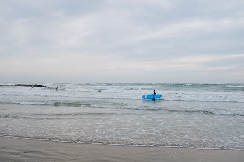 Surfers on Sea Shore