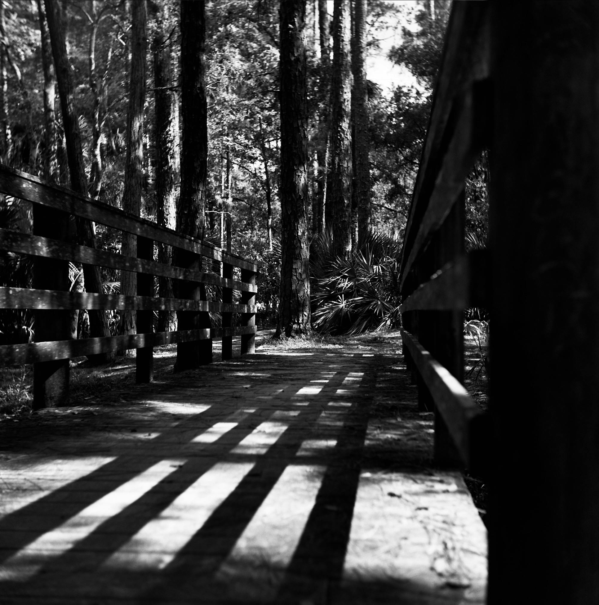 Matt Stone - Photography