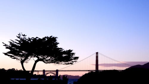 Ingyenes stockfotó Golden Gate híd témában