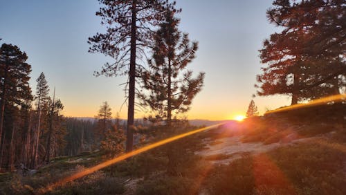 Ingyenes stockfotó yosemite nemzeti park témában