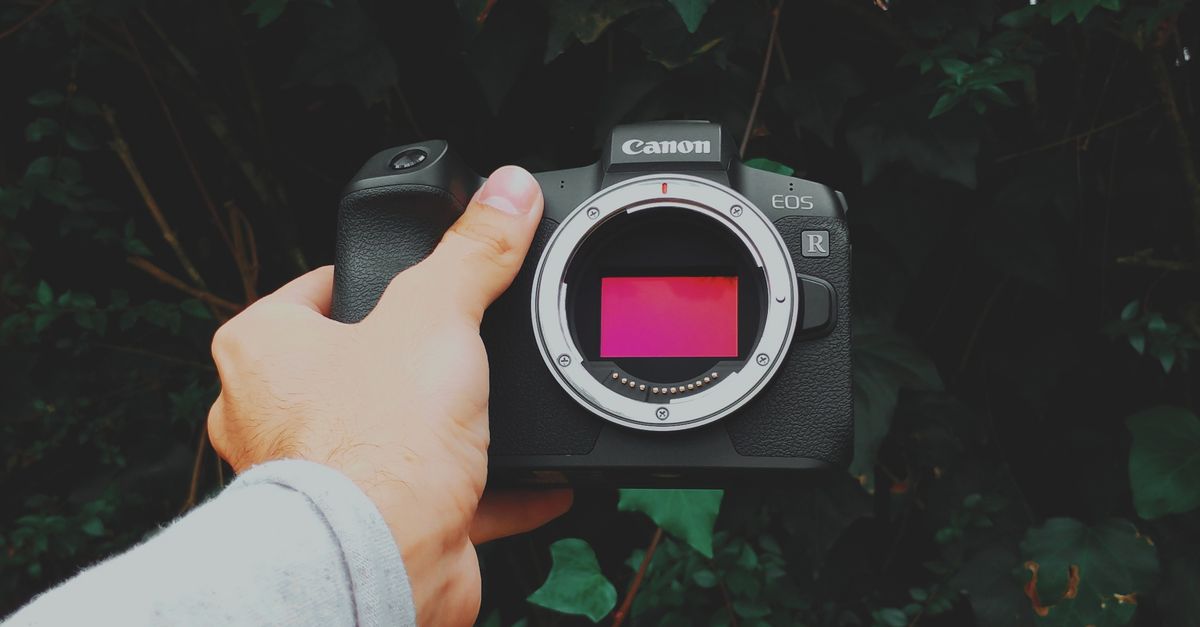 Left Hand Camera Black Canon Camera On Left Hand · Free Stock Photo