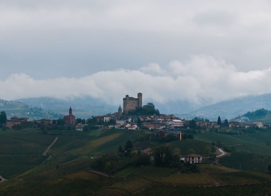 Scenic aerial view of Monforte d'Alba, Piedmont, Italy with historic architecture and lush vineyards.