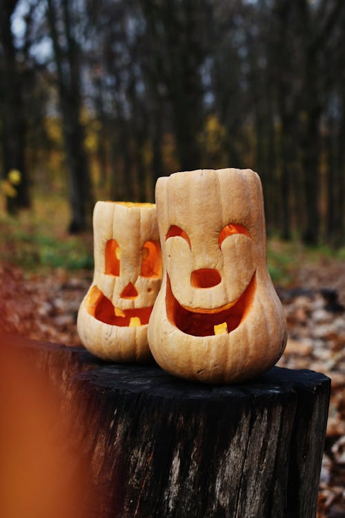 Gratis stockfoto met 31 oktober, bladeren, bomen