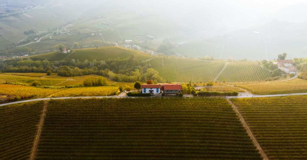a small suitcase and a laptop on a wooden table overlooking a vineyard at golden hour