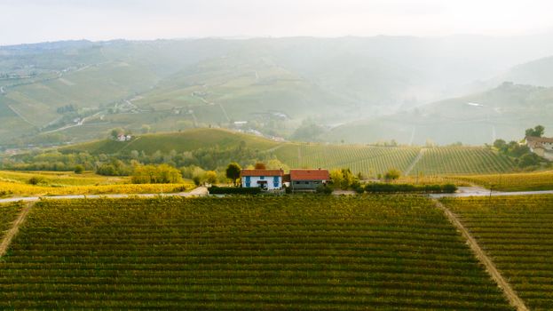 Aerial shot capturing the serene vineyards and countryside near Alba, Italy, in a warm sunset glow.