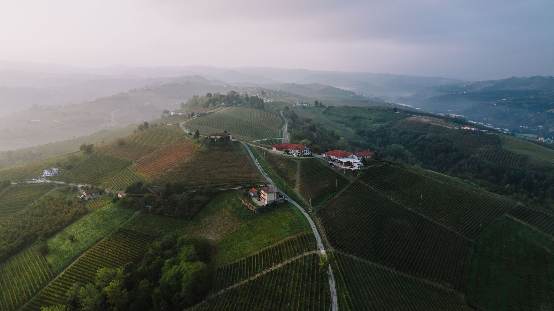 Scenic aerial view of vineyards and farmhouses in Alba, Piemonte, Italy, at dawn.