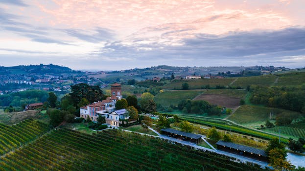 Marthas Vineyard, United States photo 11