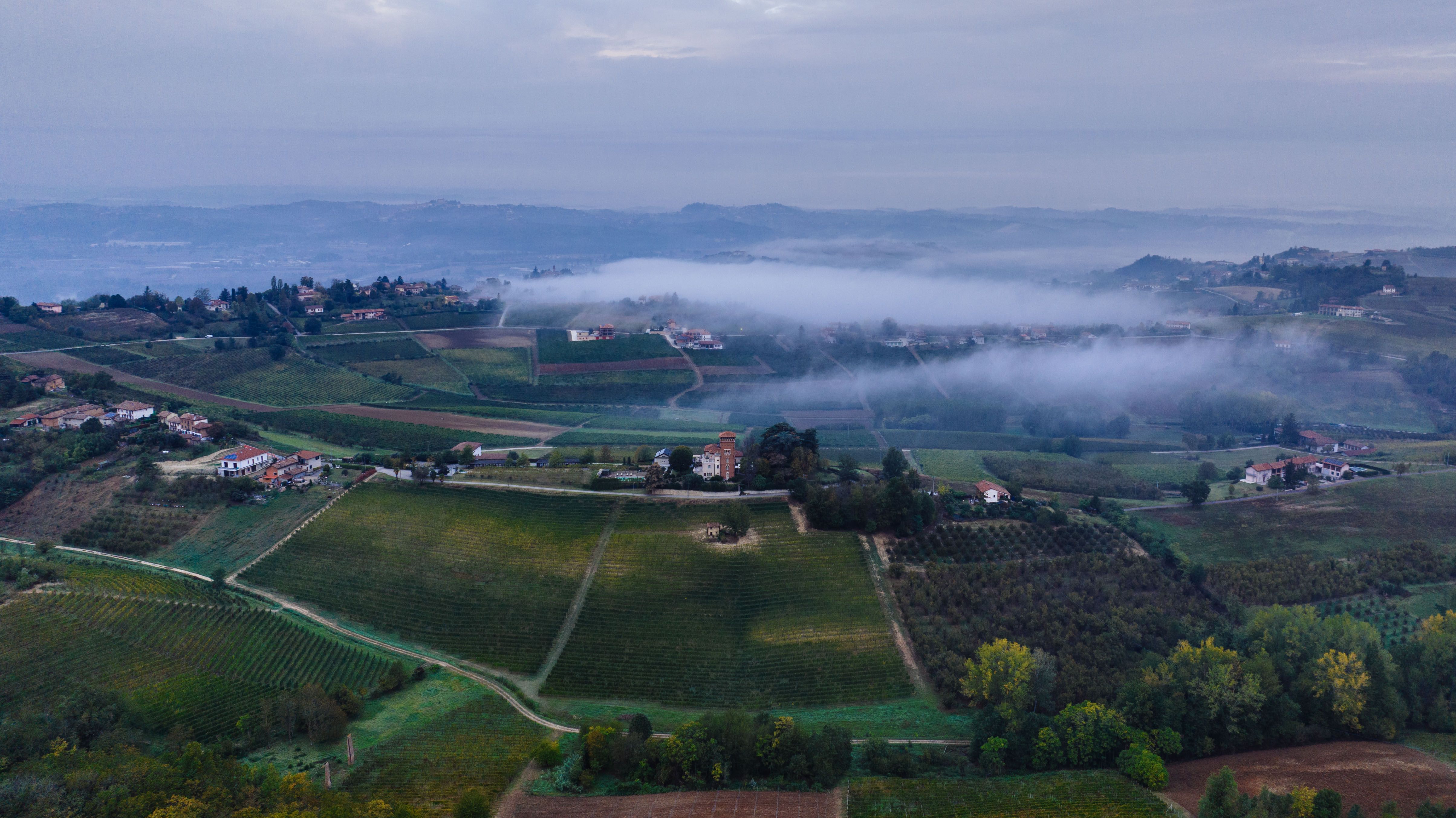 Morning mist drifting across the estate vineyard rows at sunrise