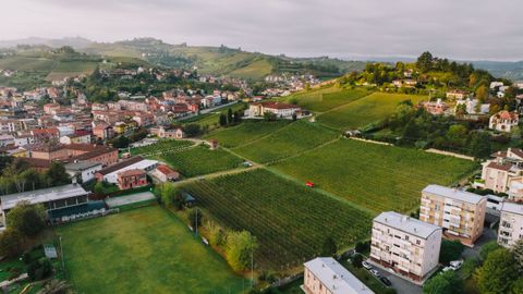 Moderniza tu explotación agraria con estas ayudas