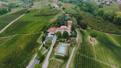 Villa Pattono Wine Country Resort in Countryside in Italy