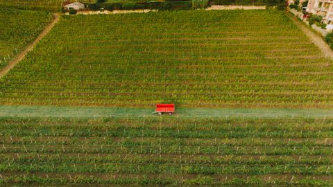 Moderniza tu empresa o crea tu negocio en Campo Arañuelo