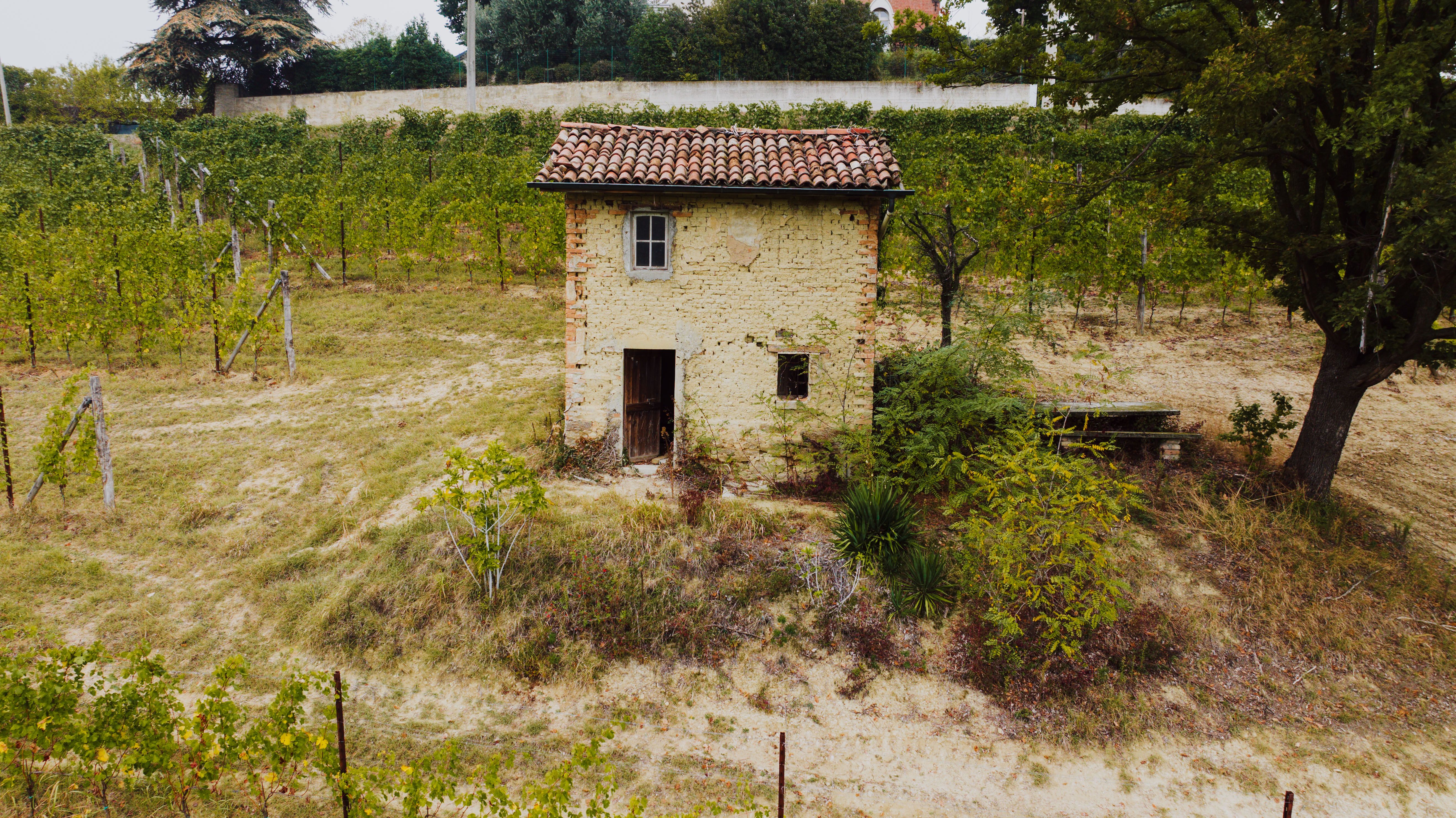 Charming rustic stone hut amidst a serene vineyard in Annunziata, Piemonte, Italy.