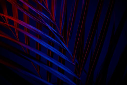 抽象图像中，色彩缤纷的树叶图案在深色灯光下格外引人注目