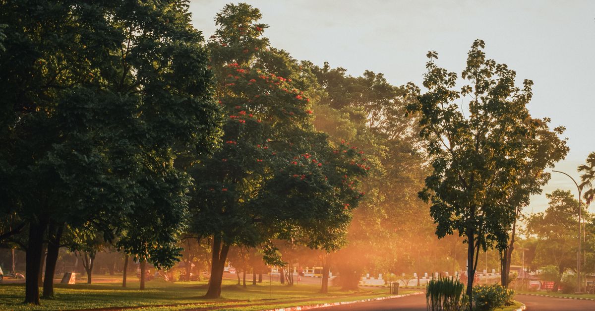 sunrise over quiet neighborhood street symbolizing new beginnings faith hope