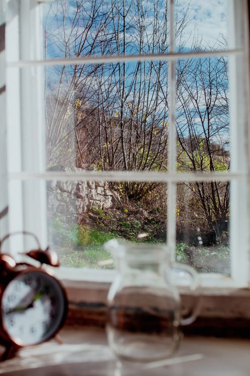 Pitcher In House Window Alarm Clock and Pitcher by Window with Trees behind · Free Stock Photo