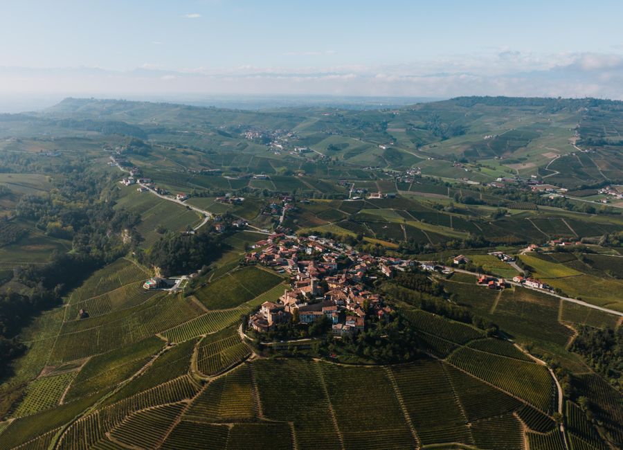 Explore the scenic vineyards of Serralunga d'Alba, Piedmont from above.