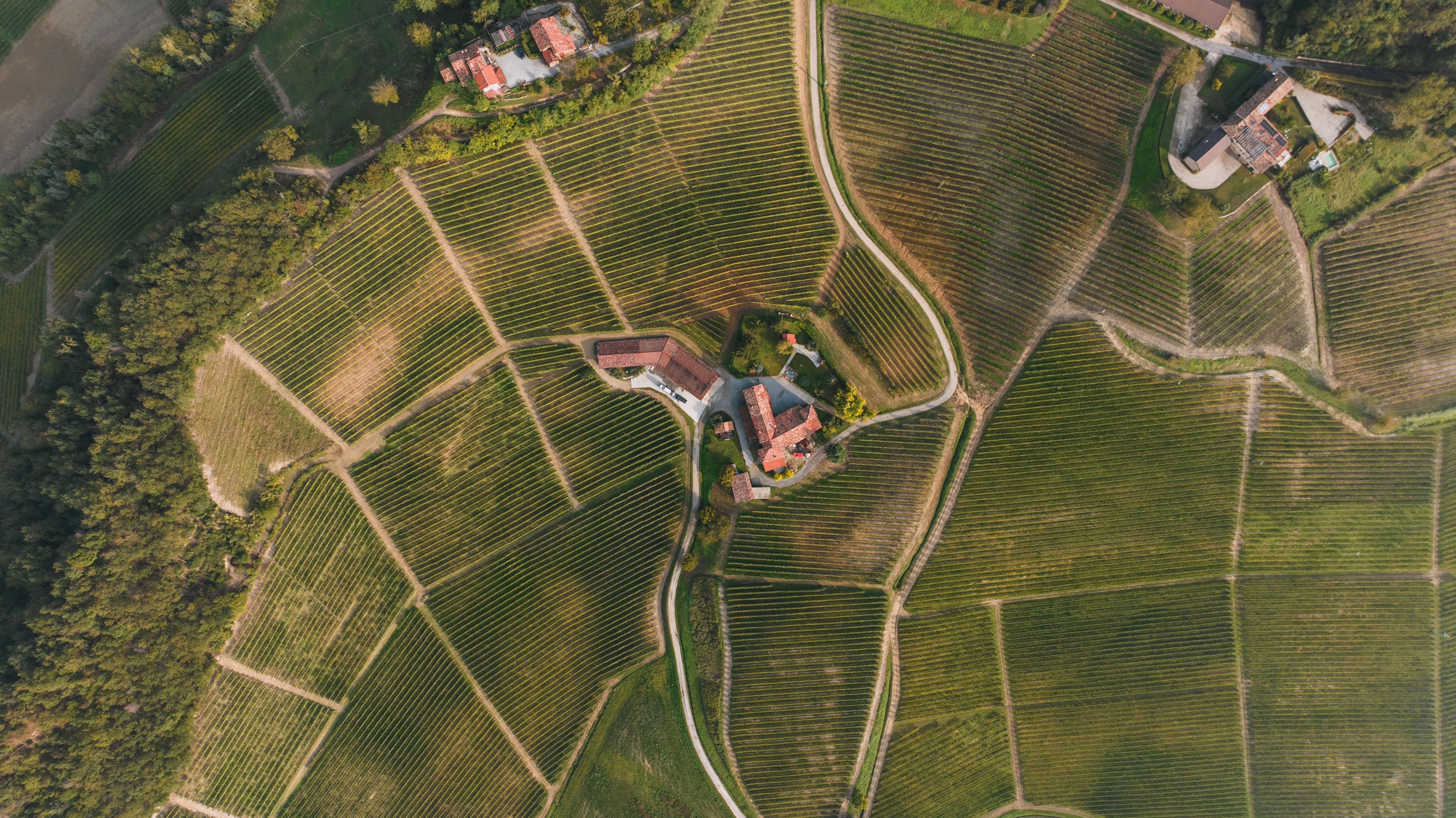 Piedmont Truffle and Barolo — Italy itinerary