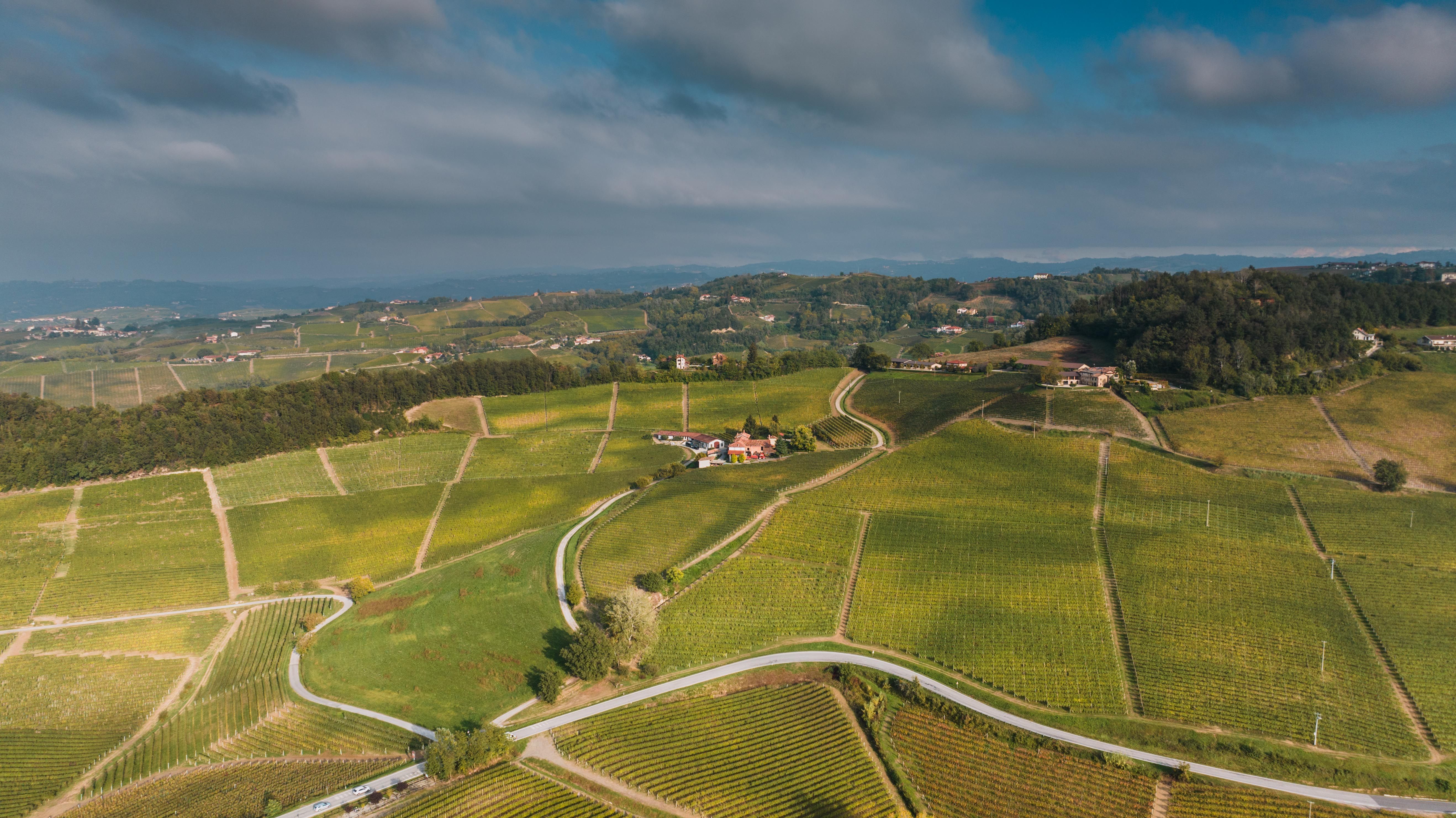 Vigneti del Chianti