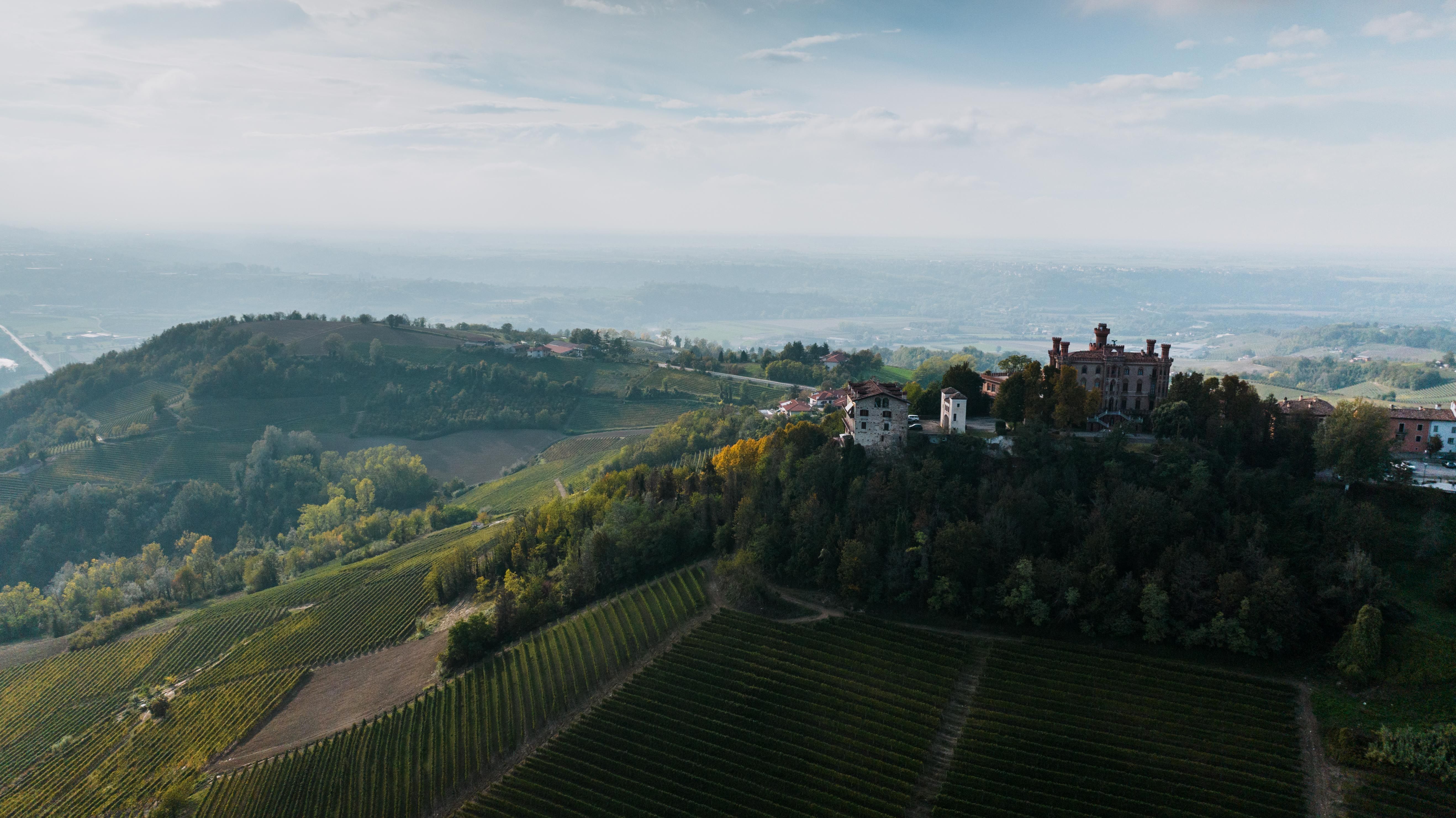 Scenic aerial view of vineyards and landscape in Novello, Italy, highlighting lush greenery and rural beauty.