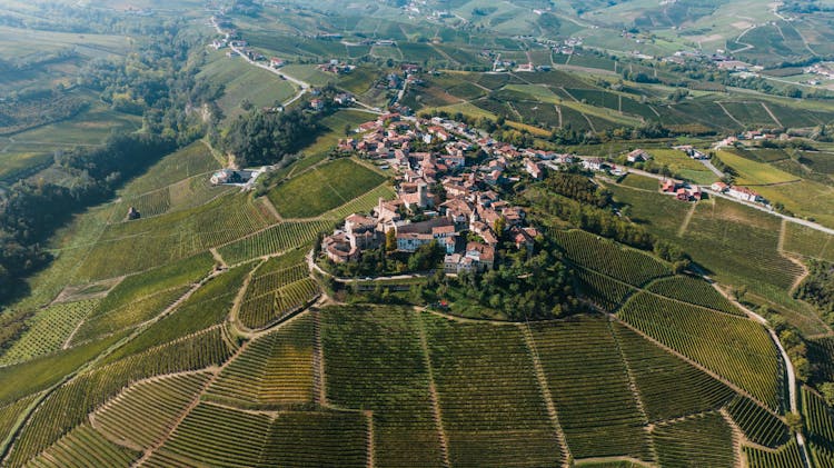 Aerial View Of La Morra, Piedmont, Italy