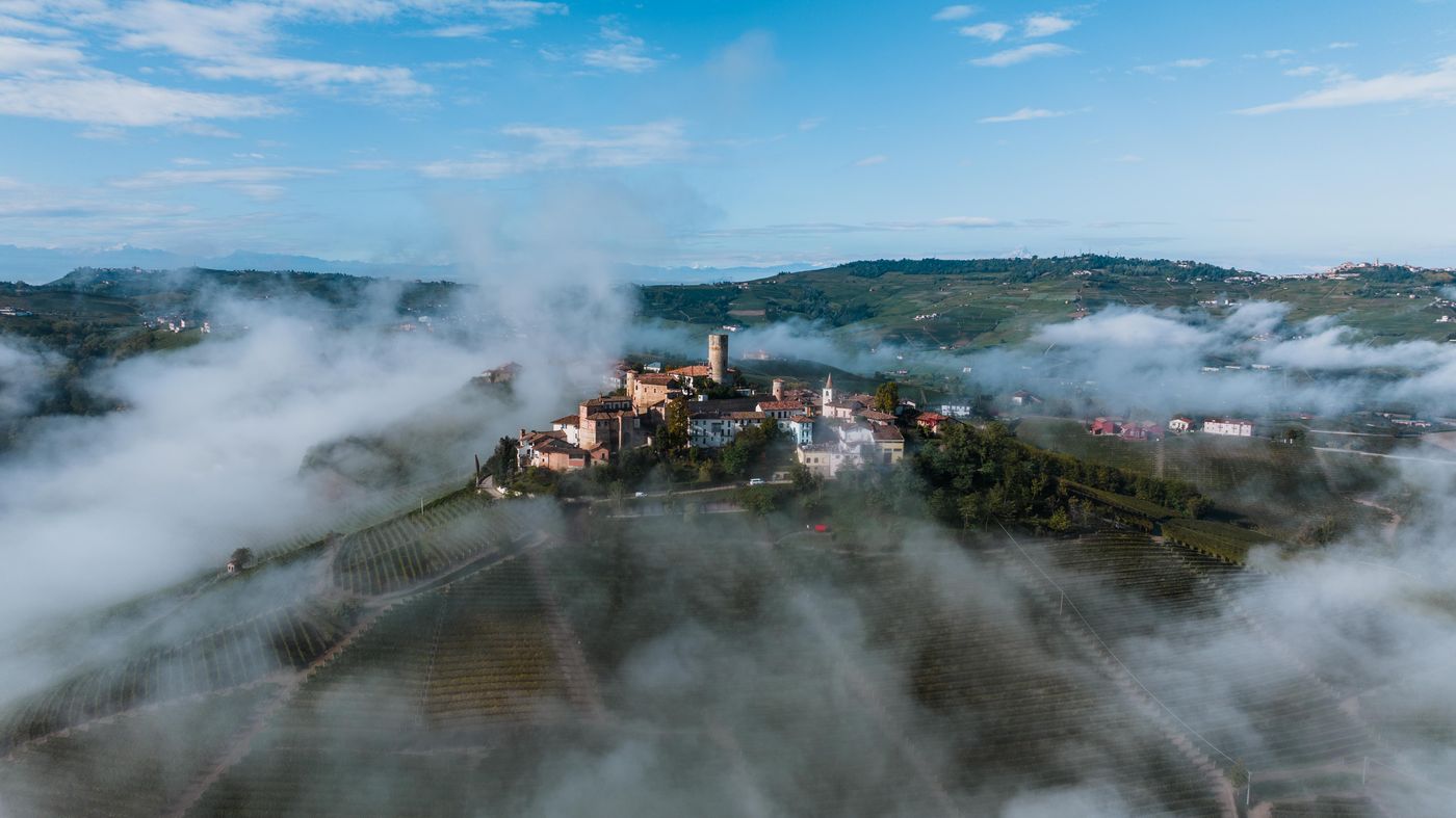 Morning fog over the Nebbiolo vineyards of Castiglione Falletto in the Barolo zone of Piedmont, Italy