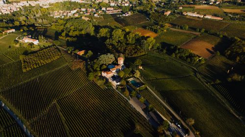 Free Stunning aerial view of lush vineyards and countryside in Piemonte, Italy. Stock Photo