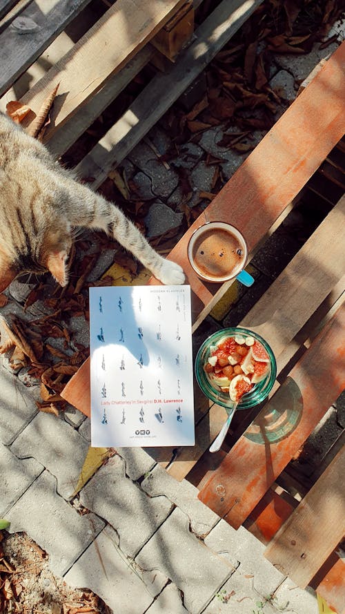 Gratis stockfoto met bladeren op de boom, boekenliefhebbers, ecru