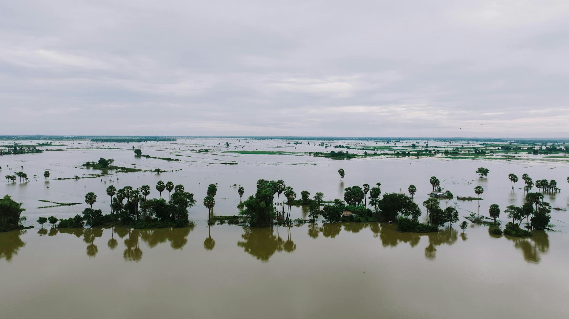 Stunning aerial view of flooded landscape in Kampong Thom, Cambodia with palm trees and water reflections.